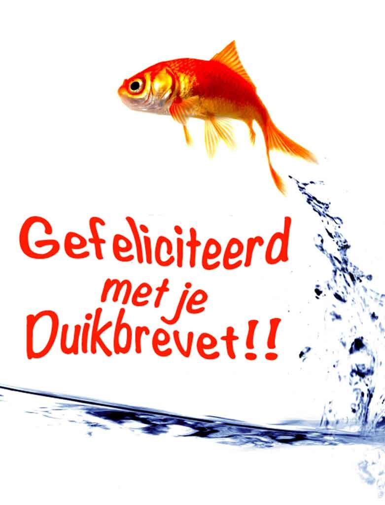 Blog en Nieuwtjes gefeliciteerd vis 1 781x1024 - Blog en Nieuwtjes