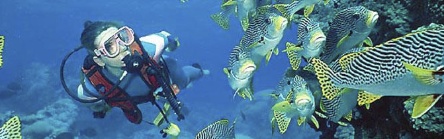 Start PADI Peak Performance Buoyancy Cursus opleidingopenwater2 - Start PADI Peak Performance Buoyancy Cursus