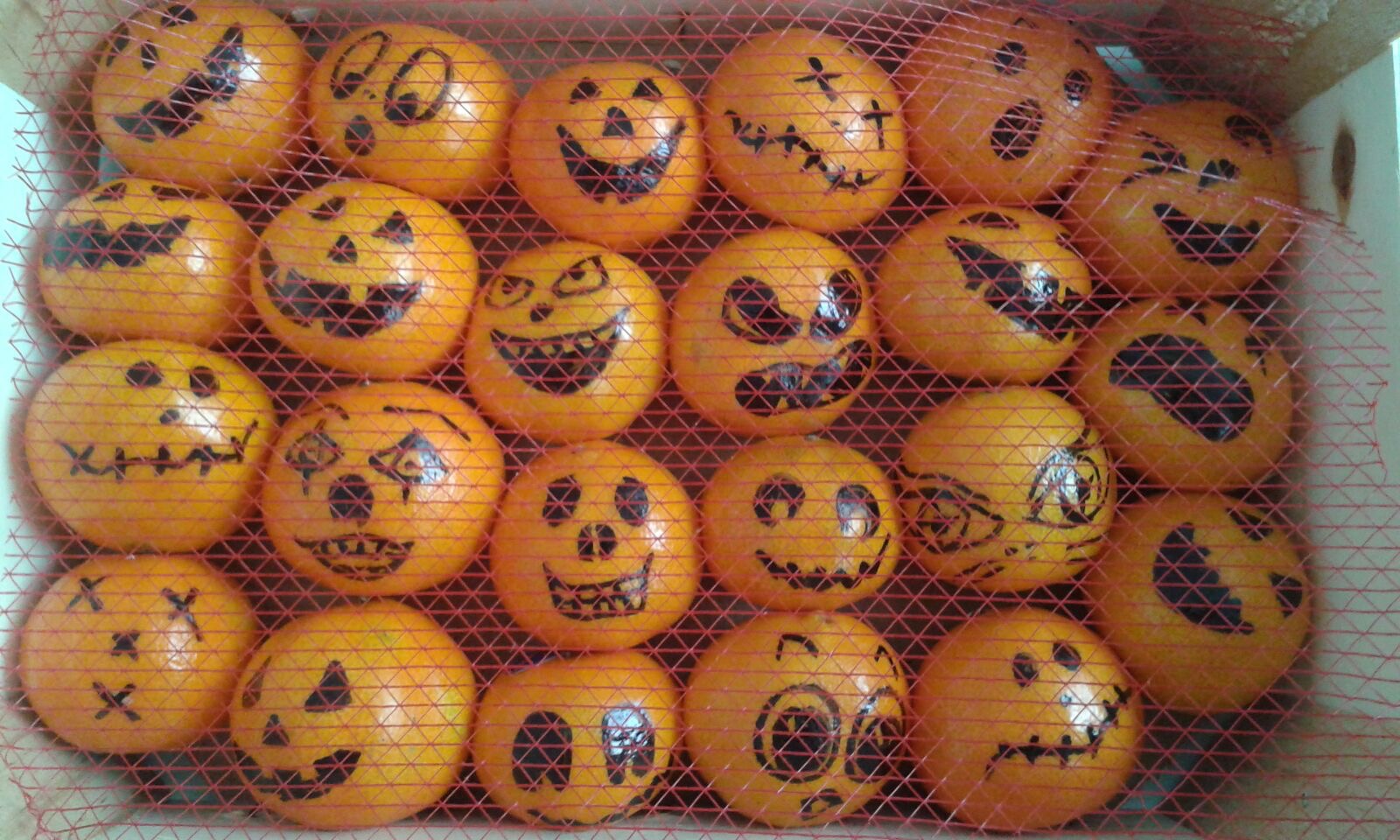 Halloweenduik op 30 oktober st 1 - Halloweenduik op 30 oktober