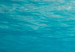 achtergrond water e1748444365115 - Team