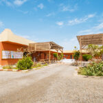ducks 150x150 - Activiteiten - Reis Egypte 2025 - Marsa Alam
