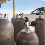 ducksfles 150x150 - Activiteiten - Reis Egypte 2025 - Marsa Alam