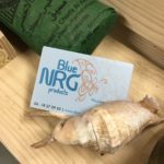 Nieuwsbrief - Blue NRG Products sier 4 150x150 - Nieuwsbrief - Blue NRG Products